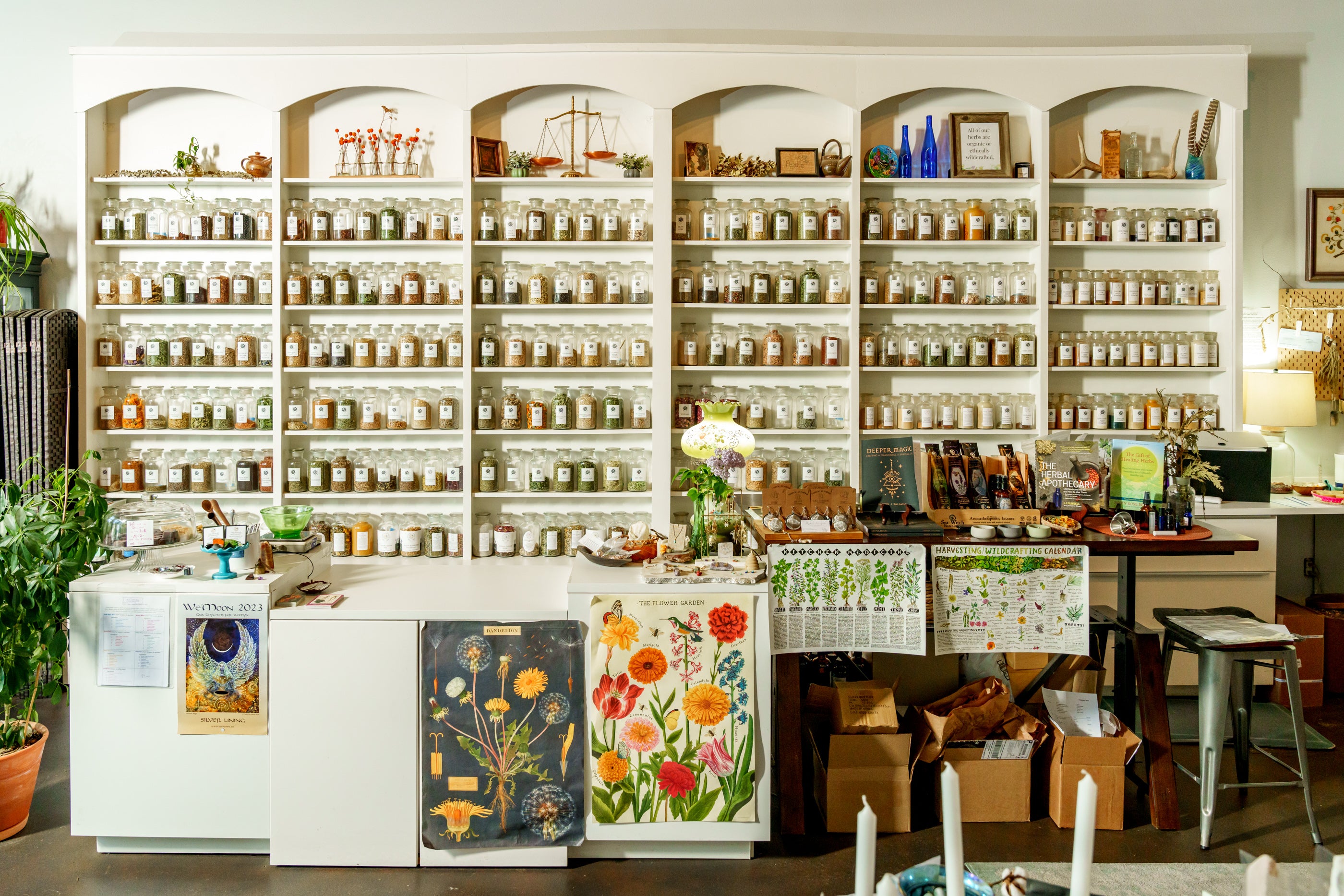 The Peoples Apothecary - Dr. Ashley Rieger, ND