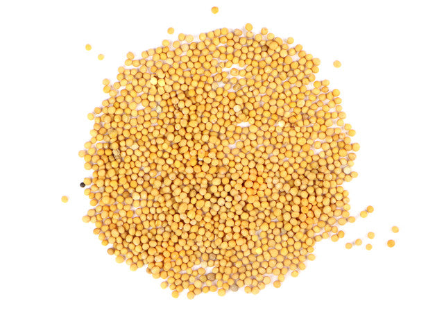 Yellow Mustard Seed