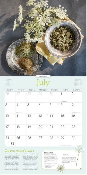 Rosemary Gladstar's Herbs Wall Calendar 2023