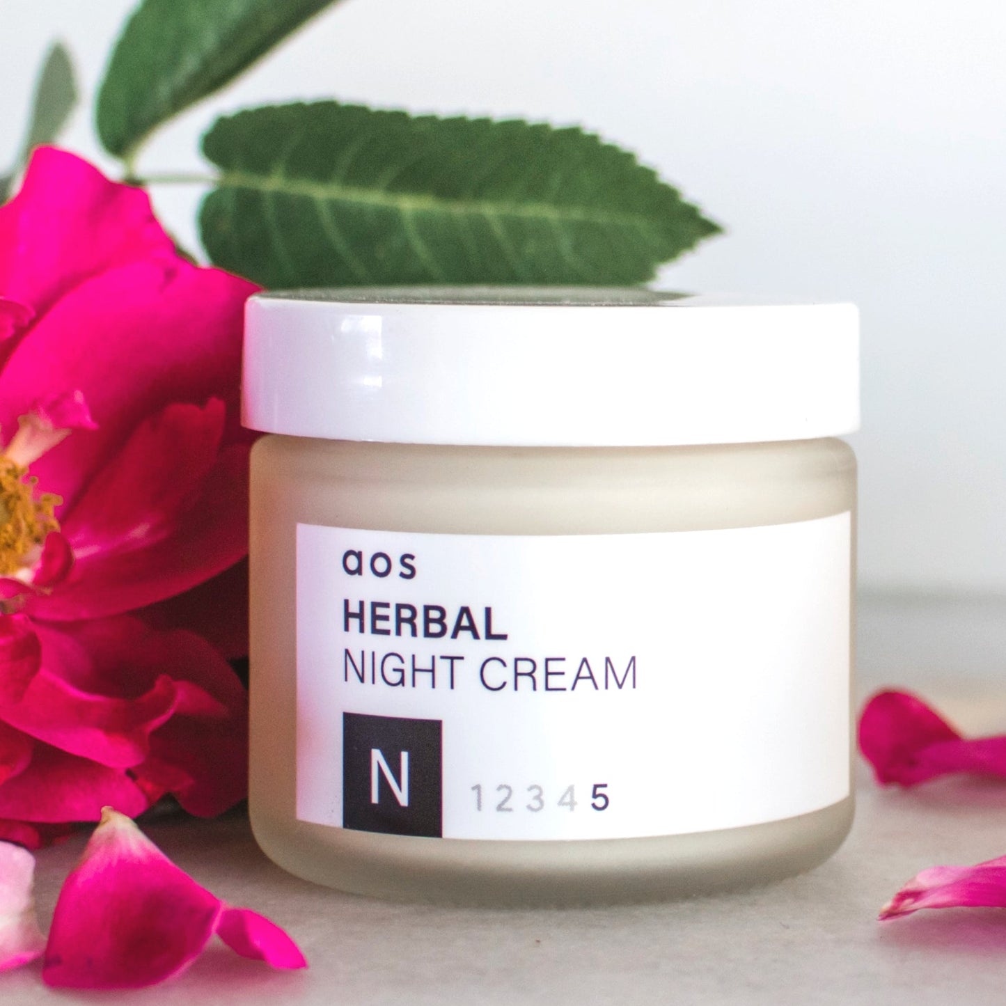 Herbal Night Cream