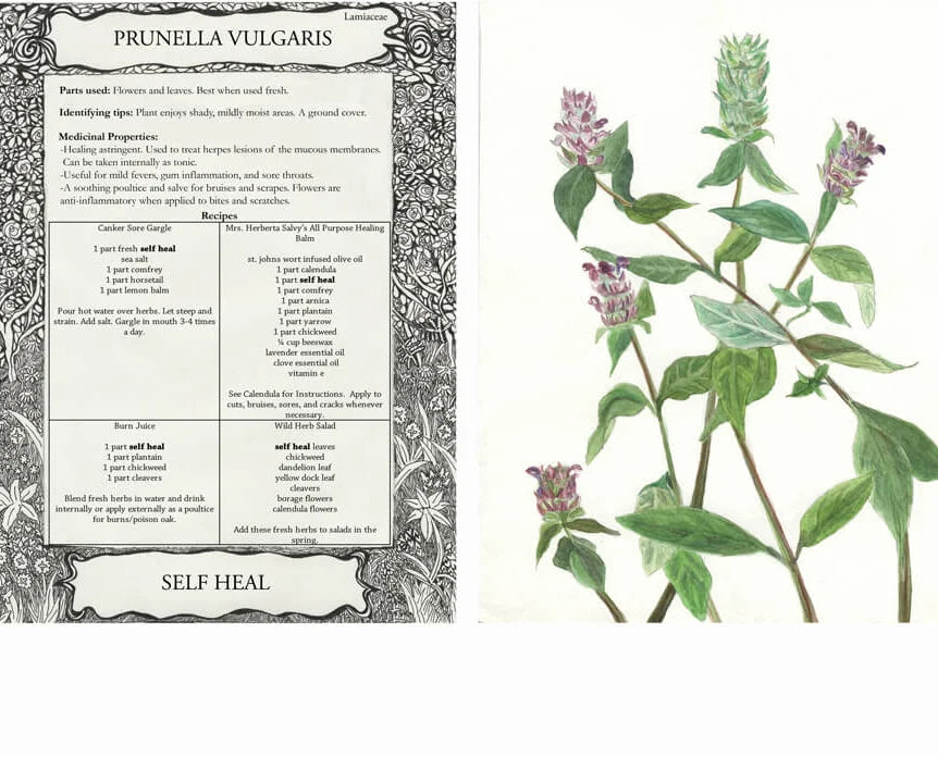 Tularosa Herbal Greeting Cards