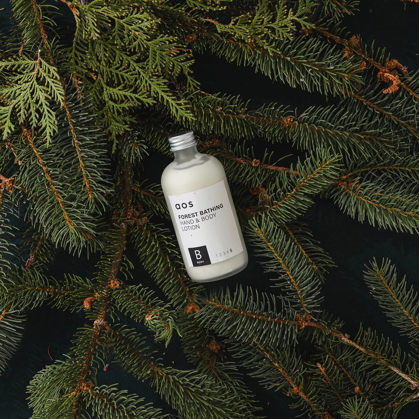 Forest Bathing Hand & Body Lotion